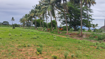 3 Acre Agricultural/Farm Land For Sale In Andipatti Jakkampatti, Theni