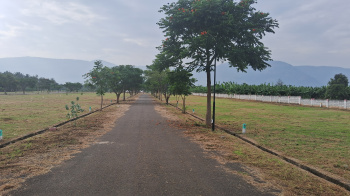 Residential Plots for sale in Cumbum in Theni District in Tamilnadu