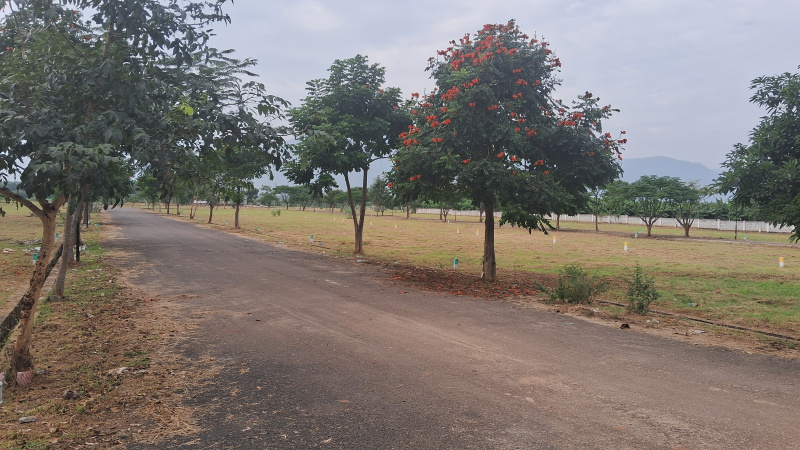 Residential Plots for sale in Cumbum in Theni