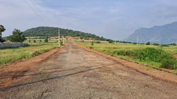 9167 Sq.ft. Agricultural/Farm Land for Sale in Ammainaickanur, Dindigul