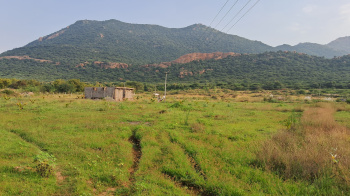 18 Acre Good Agriculture land for sale in P.Dharmathupatti near Andipatti in Theni District.