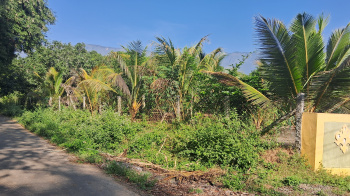 Agricultural/Farm Land for Sale in Periyakulam, Theni (2.00 Acre)