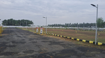 Residential Plot for Sale in Palani Chettipatti, Theni (1280 Sq.ft.)