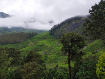 Property for sale in Munnar, Idukki