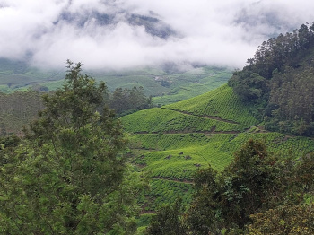 Property for sale in Munnar, Idukki