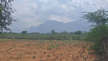 Property for sale in Bodinayakkanur, Theni