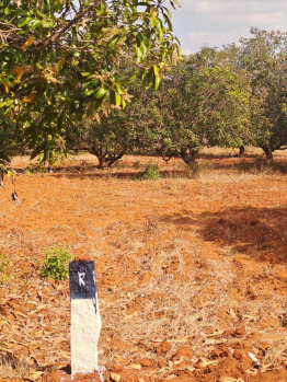 Property for sale in Melur, Madurai