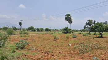 Agricultural/Farm Land for Sale in Vadugapatti, Theni (9.35 Acre)