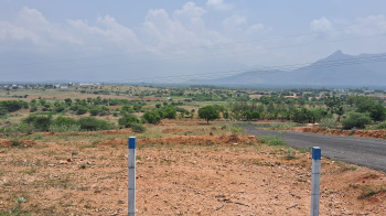 Agricultural/Farm Land for Sale in Vadugapatti, Theni (26 Acre)