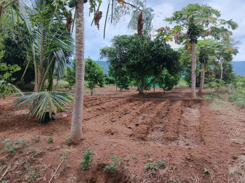 Agricultural/Farm Land for Sale in Gudalur, Theni (3 Acre)