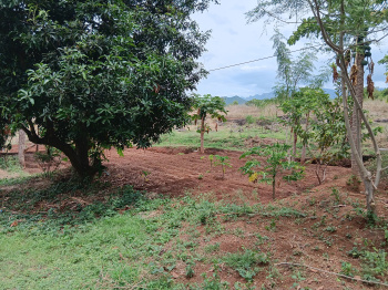 Agricultural/Farm Land for Sale in Gudalur, Theni (10 Acre)