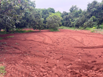Agricultural/Farm Land for Sale in Melur, Madurai (30 Cent)
