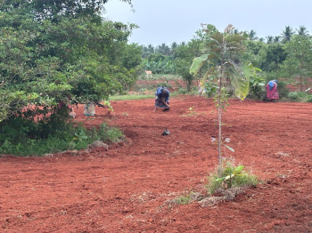 Property for sale in Melur, Madurai
