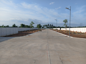 Residential Plot for Sale in Athoor, Dindigul (600 Sq.ft.)