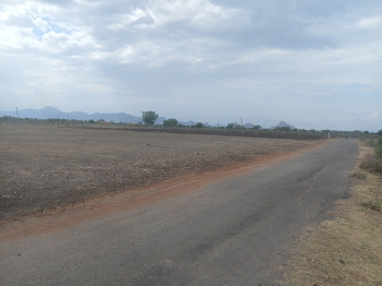 Agricultural/Farm Land for Sale in Peraiyur, Madurai (25 Cent)
