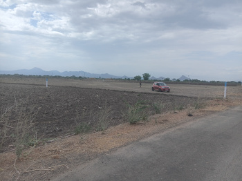 Agricultural/Farm Land for Sale in Peraiyur, Madurai (1 Acre)