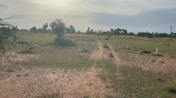 Agricultural/Farm Land for Sale in Kariapatti, Virudhunagar (1 Acre)