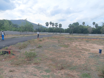 Residential Plot for Sale in Kidaripatti, Madurai (1200 Sq.ft.)