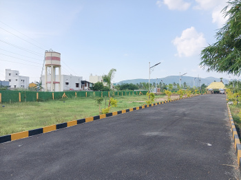 Residential Plot for Sale in Kallandhiri, Madurai (1092 Sq.ft.)