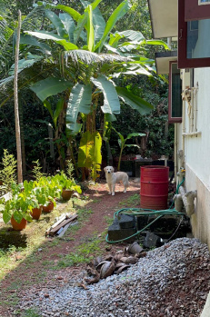 Property for sale in Kunjibettu, Udupi