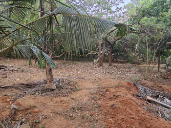 Residential Plot for Sale in Brahmavar, Udupi (16.09 Cent)