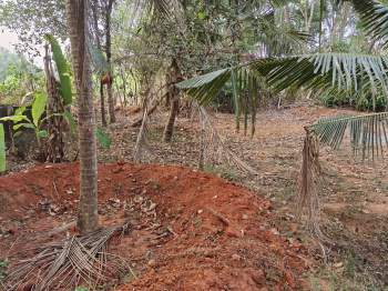 Property for sale in Brahmavar, Udupi
