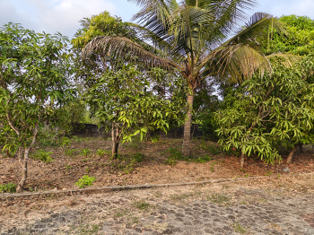 Property for sale in Perampalli, Udupi