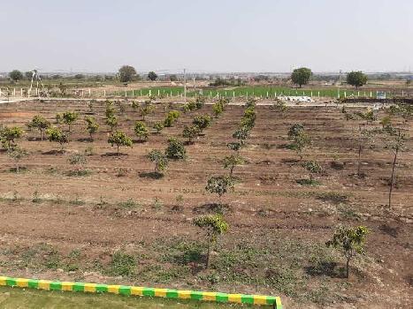 25 Acre Agricultural/Farm Land For Sale In Mangaon, Raigad