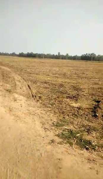 5 Acre Agricultural/Farm Land for Sale in Mangaon, Raigad