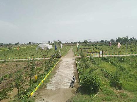 6 Acre Agricultural/Farm Land for Sale in Kolad, Raigad