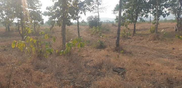 7 Acre Agricultural/Farm Land for Sale in Mangaon, Pune