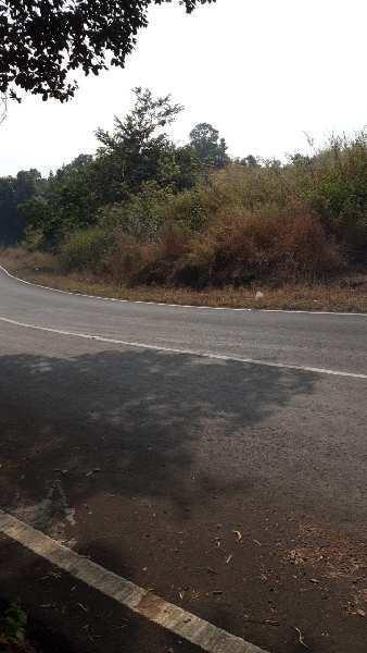 200 Acre Agricultural/Farm Land for Sale in Mangaon, Pune