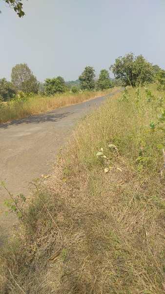 4 Acre Agricultural/Farm Land for Sale in Mangaon, Pune
