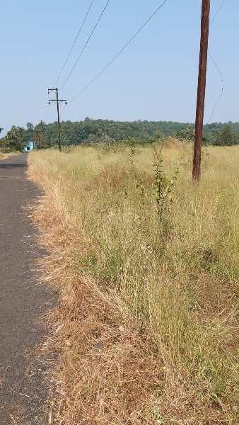 3 Acre Agricultural/Farm Land for Sale in Mangaon, Pune