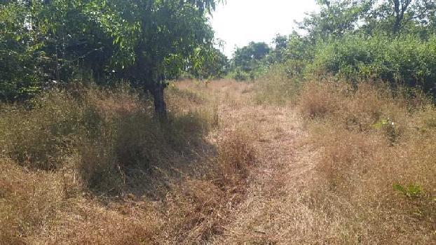 13 Acre Agricultural/Farm Land for Sale in Roha, Raigad