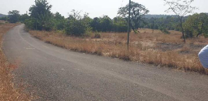 5 Acre Agricultural/Farm Land for Sale in Roha, Raigad
