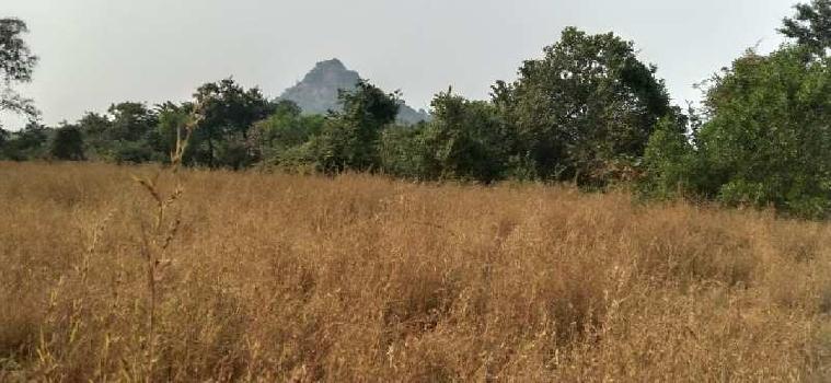 5 Acre Agricultural/Farm Land for Sale in Indapur, Raigad