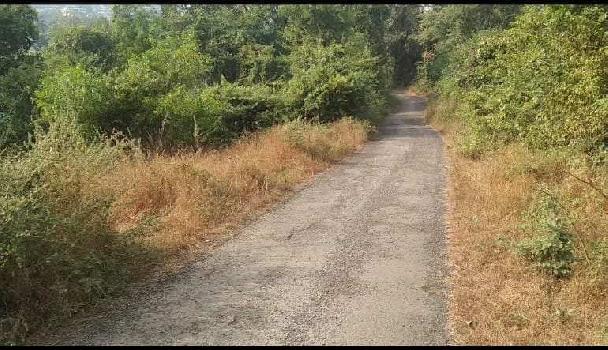 10 Acre Agricultural/Farm Land for Sale in Indapur, Raigad