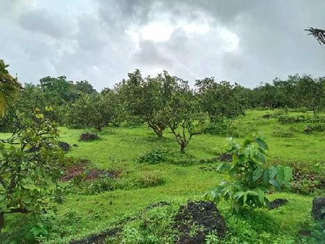 9 Acre Agricultural/Farm Land for Sale in Roha, Raigad