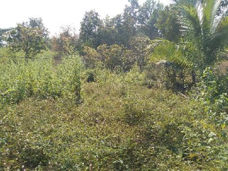 4 Acre Agricultural/Farm Land for Sale in Roha, Raigad