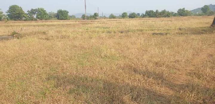 8 Acre Agricultural/Farm Land for Sale in Mangaon, Raigad