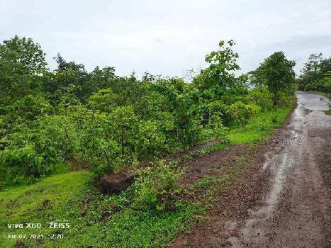 90 Acre Agricultural/Farm Land for Sale in Raigad