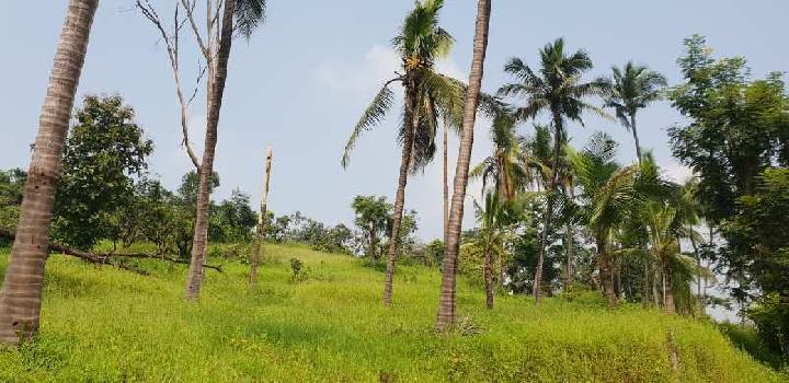 108 Acre Agricultural/Farm Land for Sale in Mangaon, Raigad