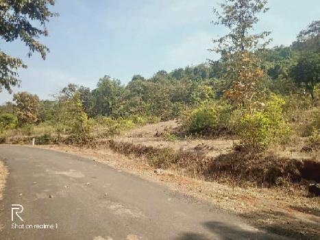 5 Acre Agricultural/Farm Land for Sale in Murud, Raigad