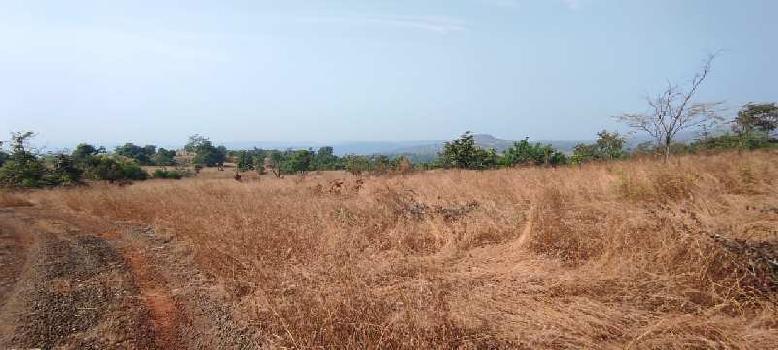 200 Acre Agricultural/Farm Land for Sale in Sudhagad, Raigad