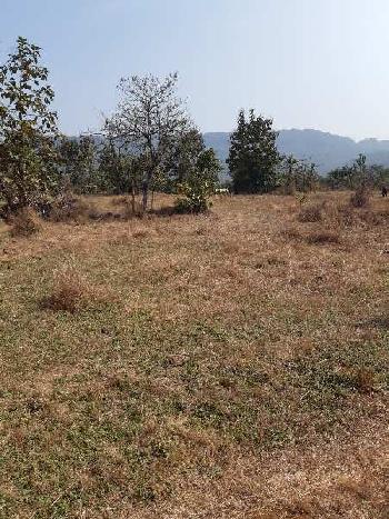 2 Acre Agricultural/Farm Land for Sale in Mangaon, Raigad