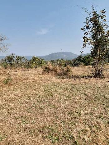 4 Acre Agricultural/Farm Land for Sale in Mangaon, Raigad