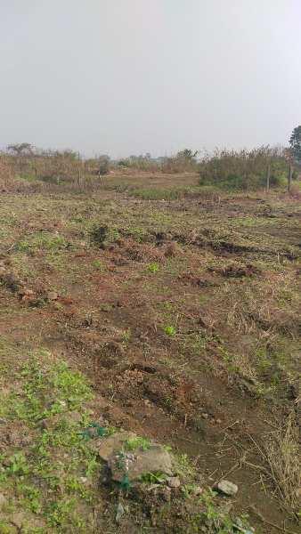 8 Guntha Agricultural/Farm Land for Sale in Roha, Raigad