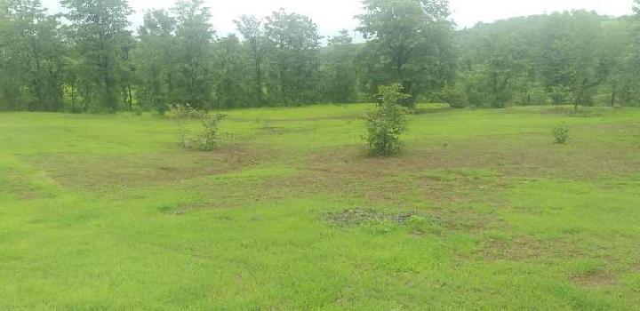 29 Guntha Agricultural/Farm Land for Sale in Dapoli, Ratnagiri