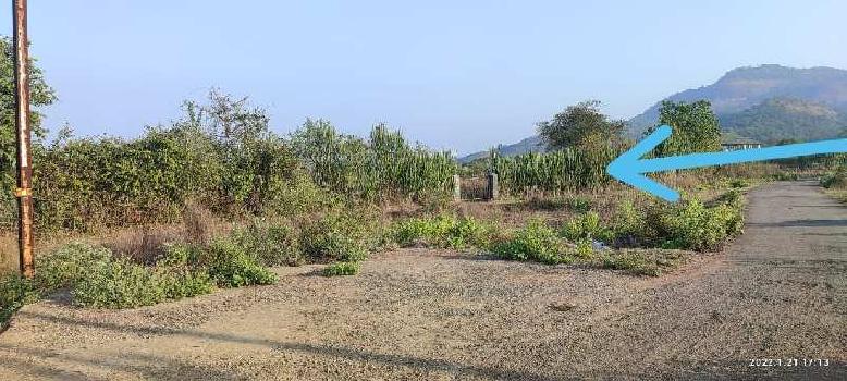 3 Acre Agricultural/Farm Land for Sale in Pali, Raigad